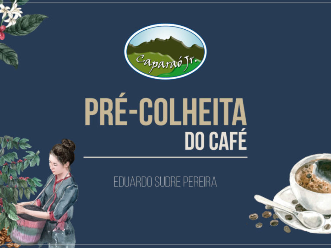 Pré-colheita---Eduardo