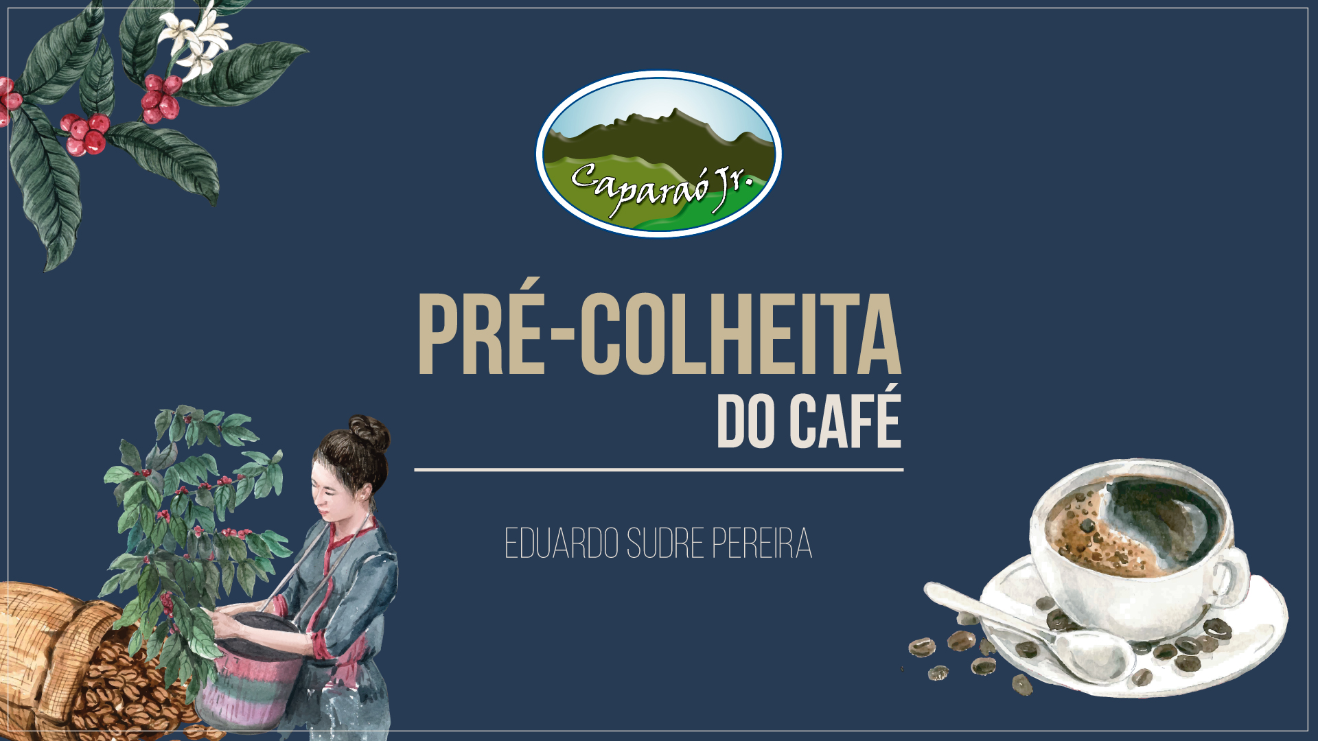 Pré-colheita---Eduardo