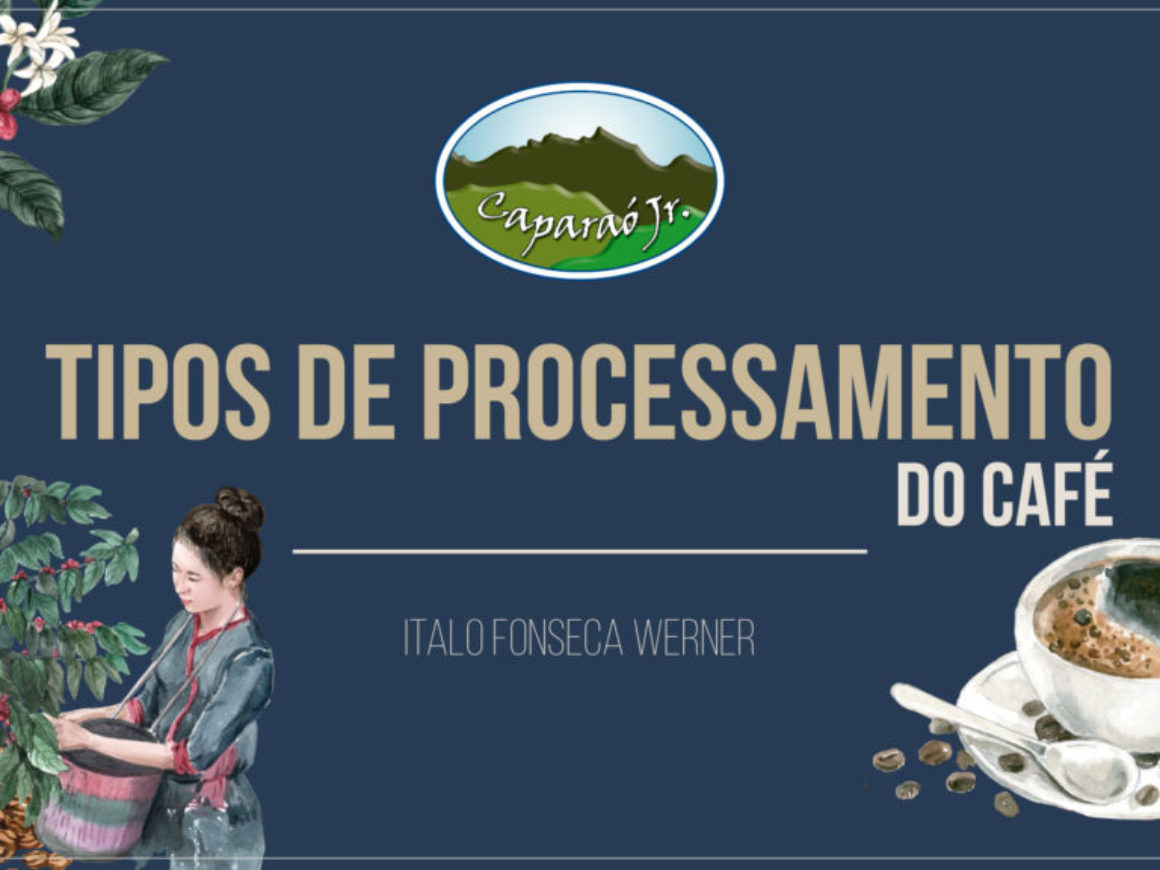 Tipos-de-processamento-do-café---Italo